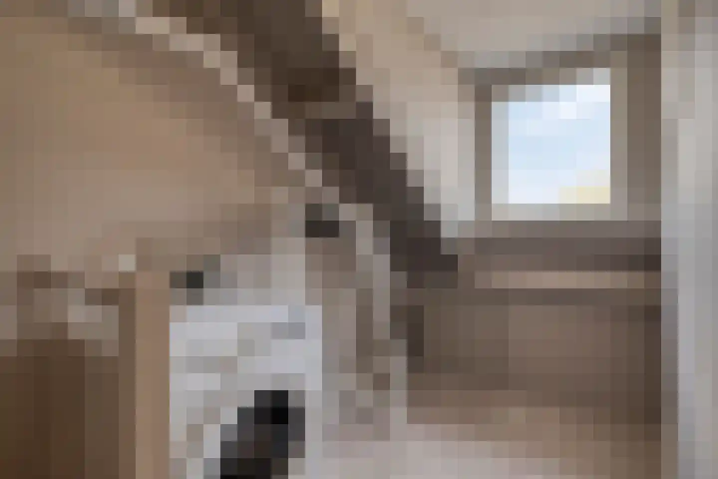 Vierbunder 19 Breda thumbnail 33