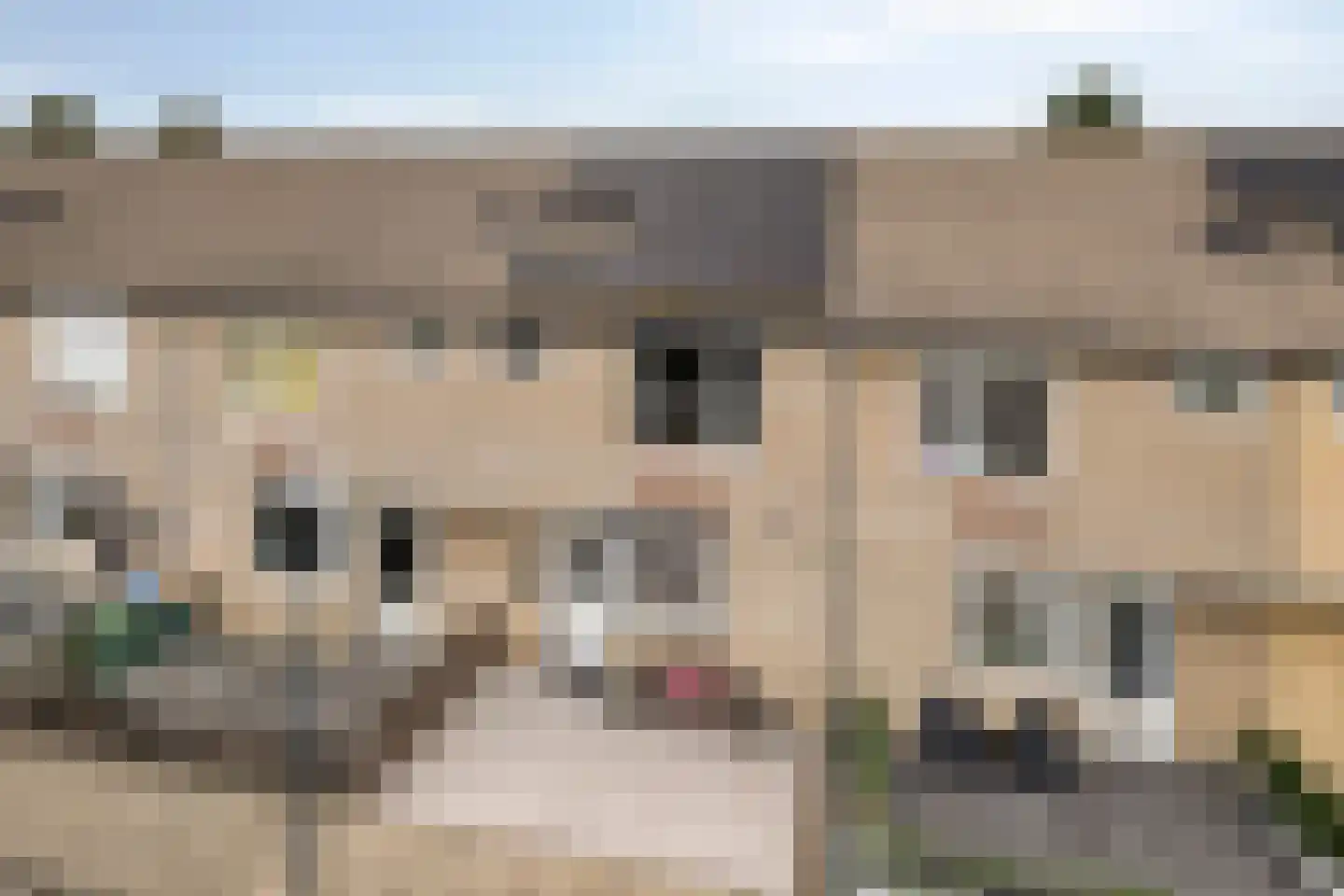 Vierbunder 19 Breda thumbnail 40