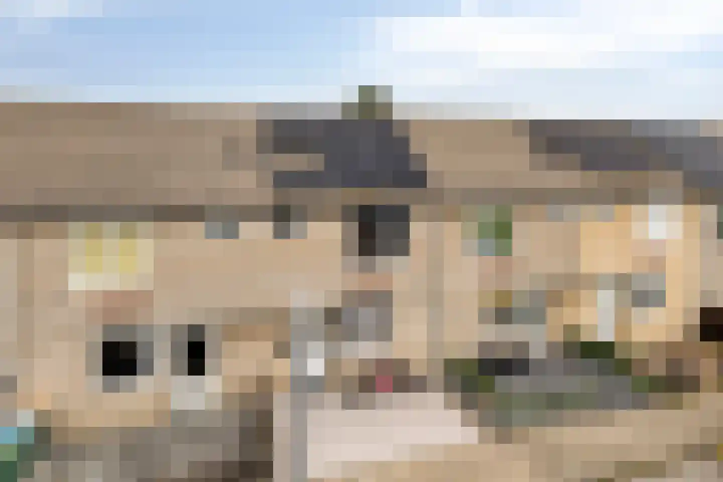 Vierbunder 19 Breda thumbnail 41
