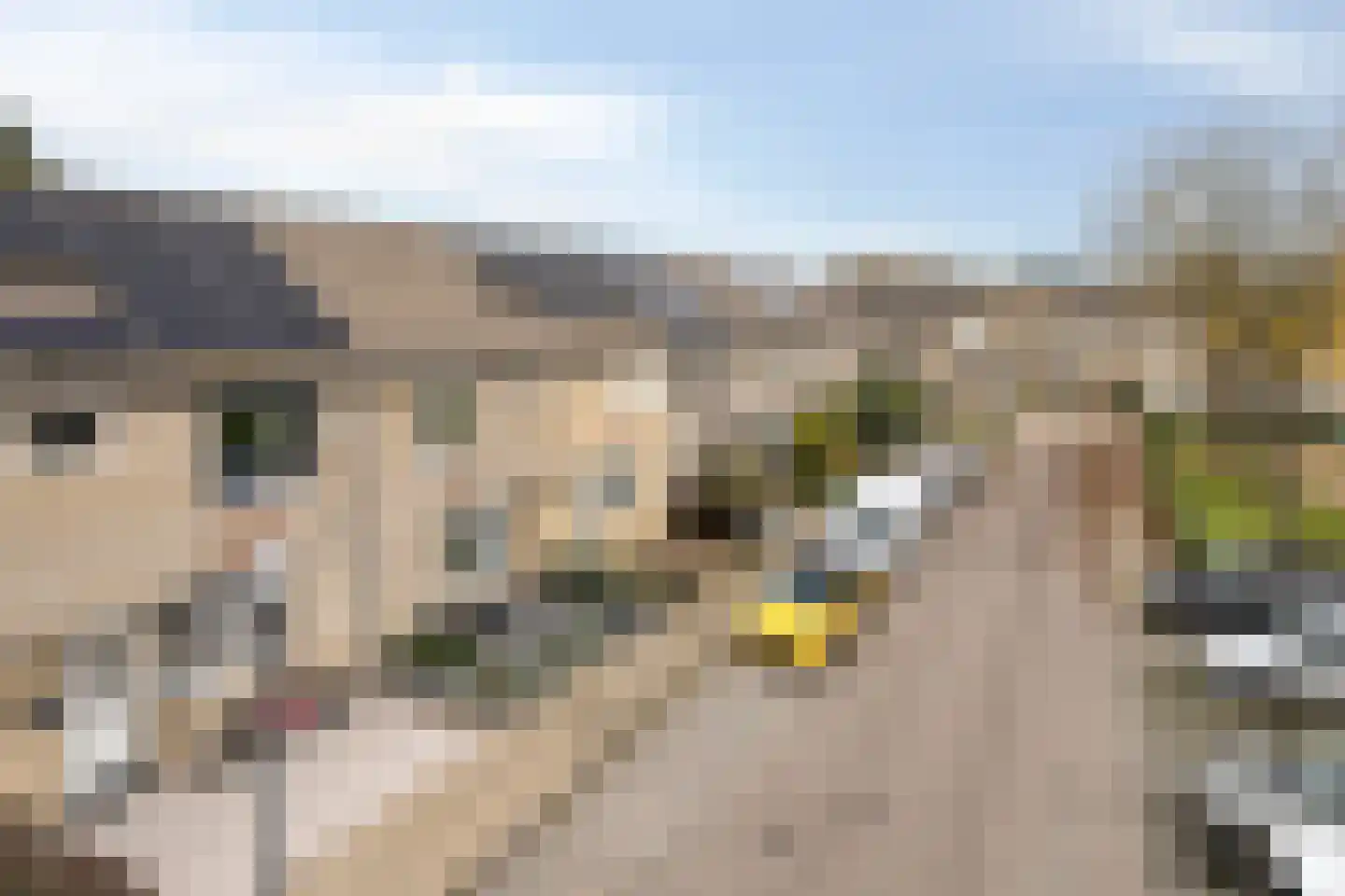 Vierbunder 19 Breda thumbnail 42