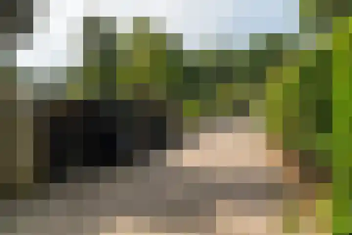 Vierbundersweg 165 30 Dongen thumbnail 10