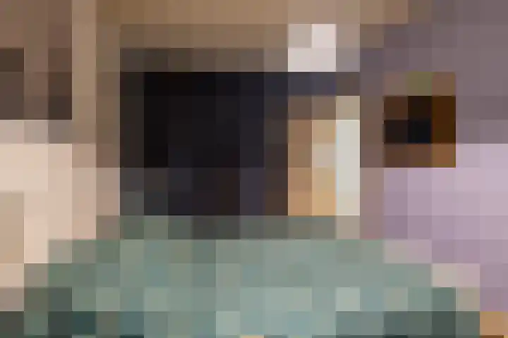 Vierbundersweg 165 30 Dongen thumbnail 20