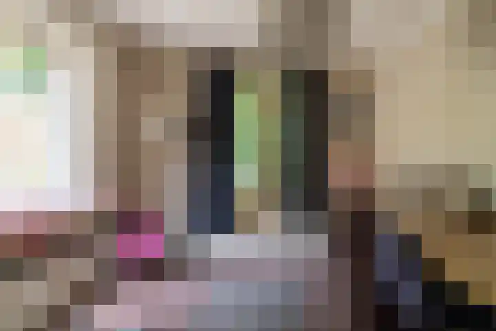 Vierbundersweg 165 30 Dongen thumbnail 21