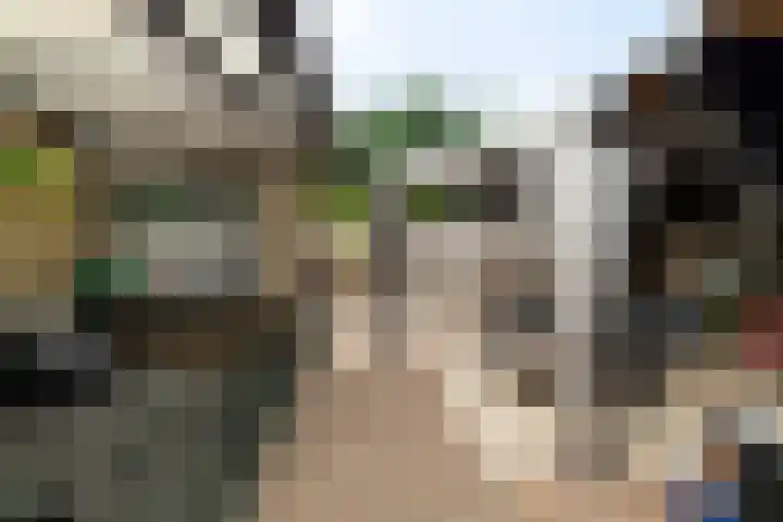Vierbundersweg 165 30 Dongen thumbnail 6