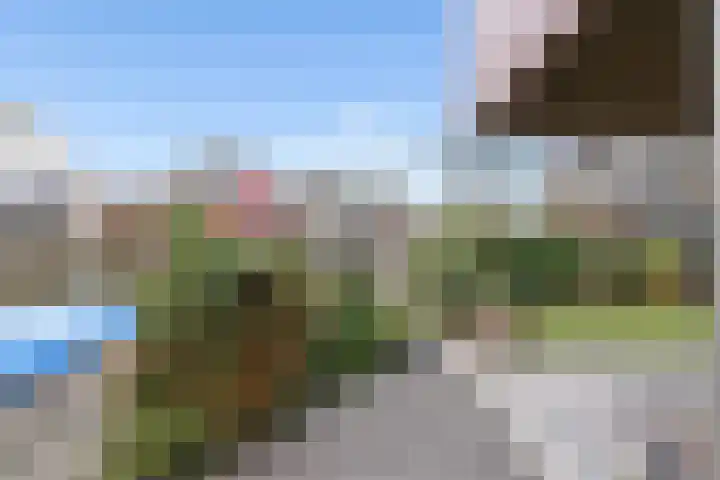 Vierbundersweg 165 30 Dongen thumbnail 8
