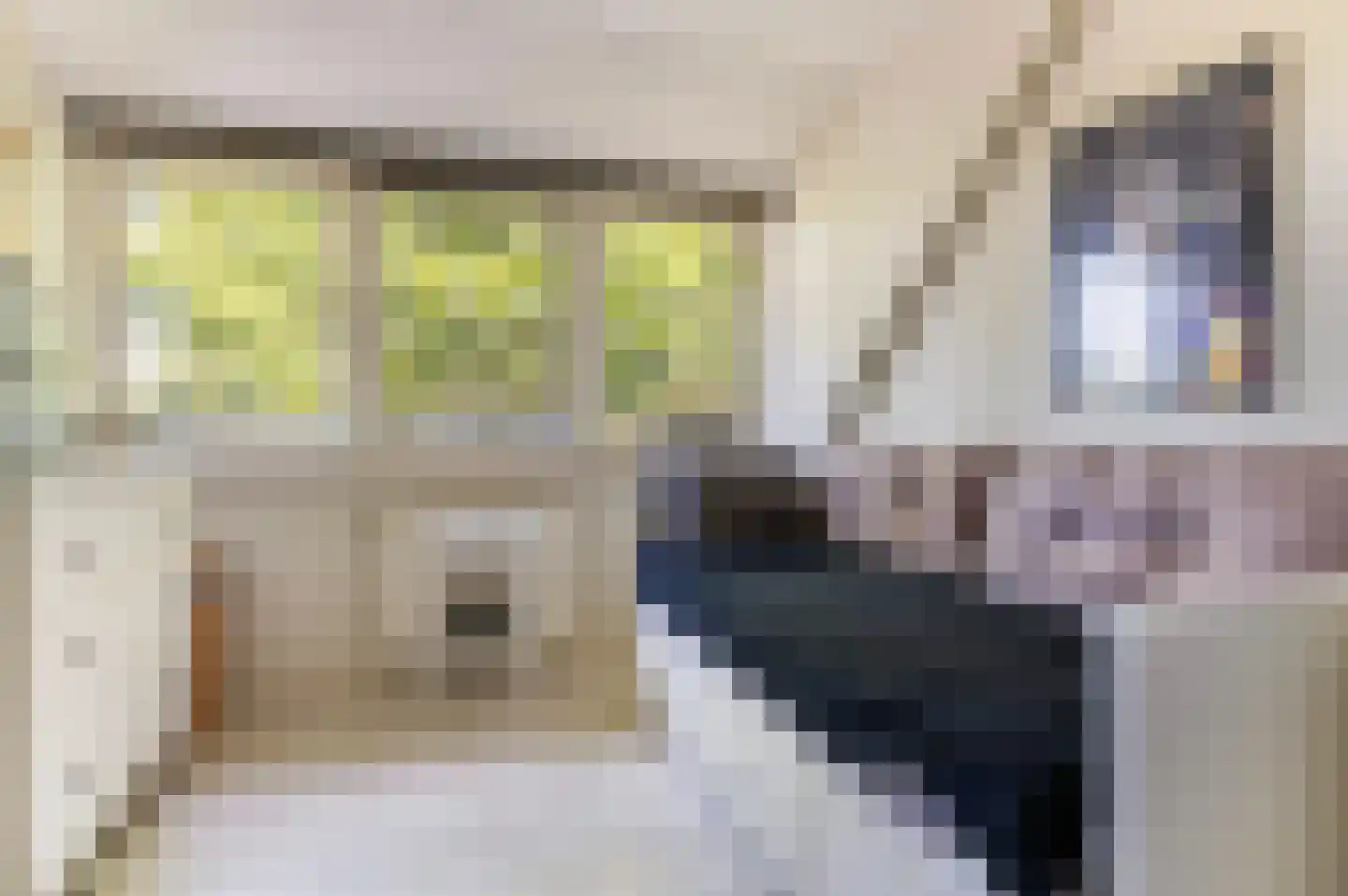 Vierde Broekdijk 24 Aalten thumbnail 26