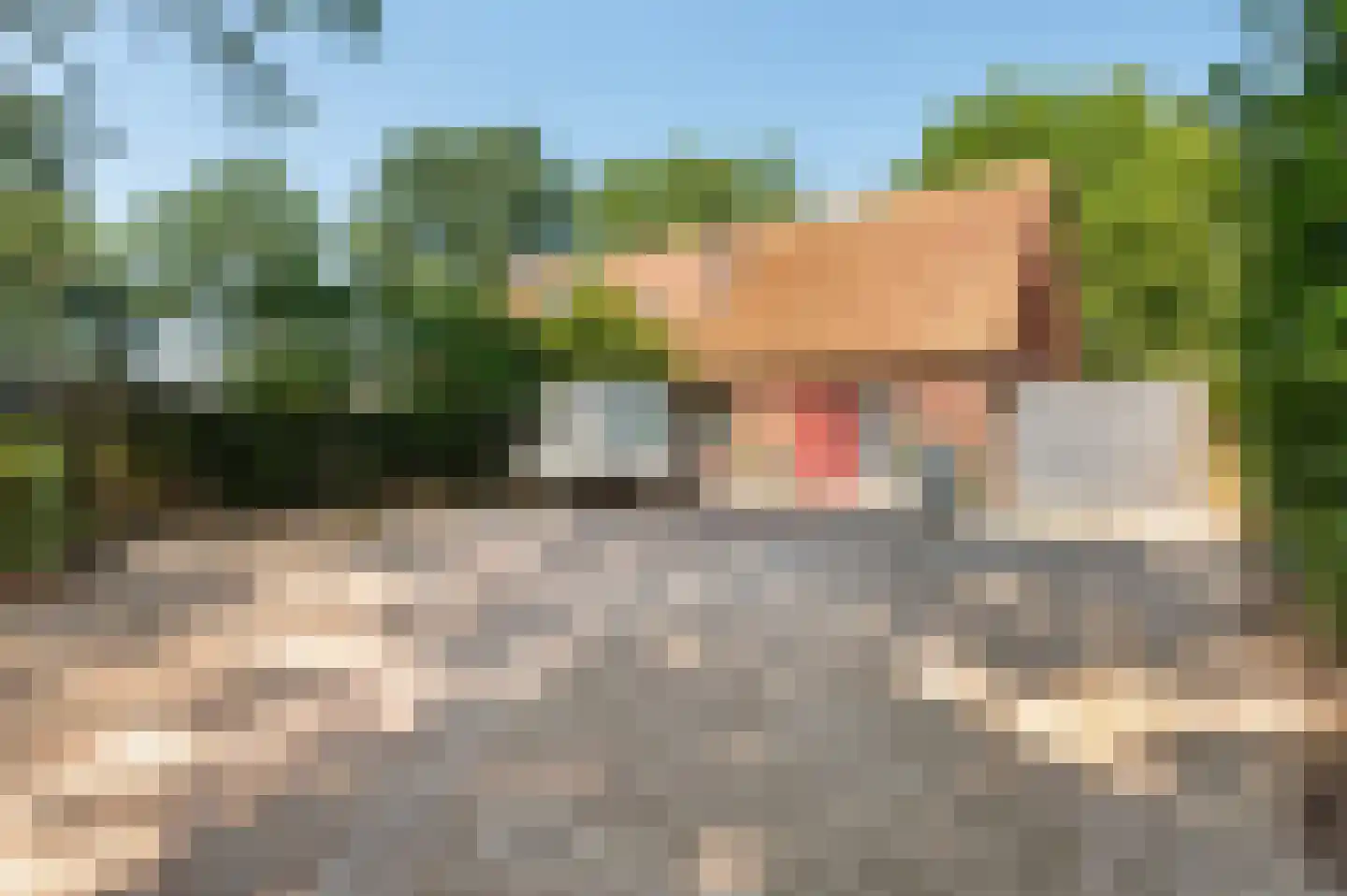 Vierde Broekdijk 24 Aalten foto 3