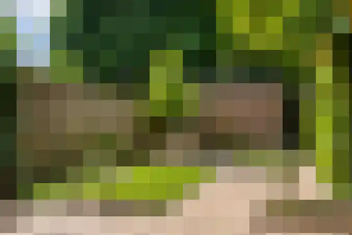 Vierde Buitenpepers 20 's-Hertogenbosch thumbnail 13