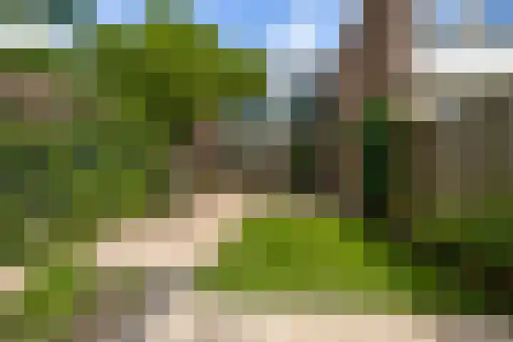 Vierde Buitenpepers 20 's-Hertogenbosch thumbnail 14
