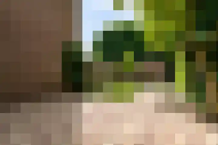 Vierde Buitenpepers 20 's-Hertogenbosch thumbnail 15