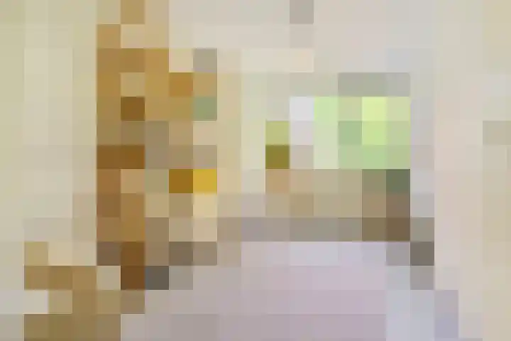Vierde Buitenpepers 20 's-Hertogenbosch thumbnail 22