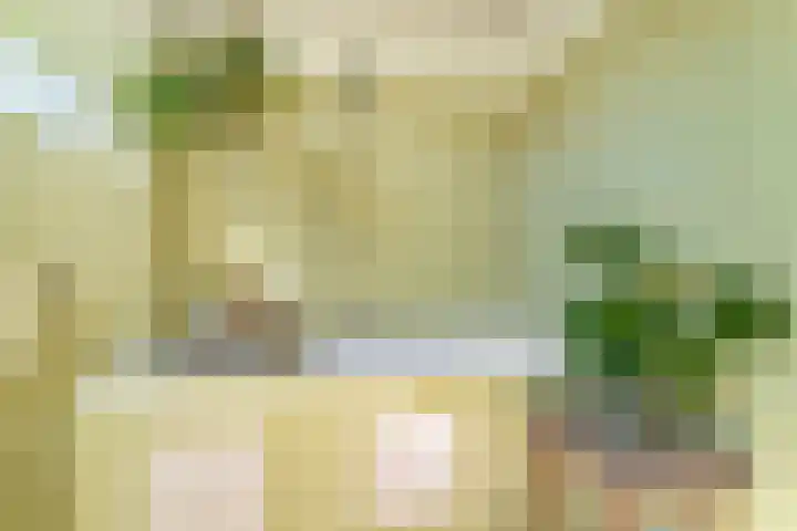 Vierde Buitenpepers 20 's-Hertogenbosch thumbnail 24