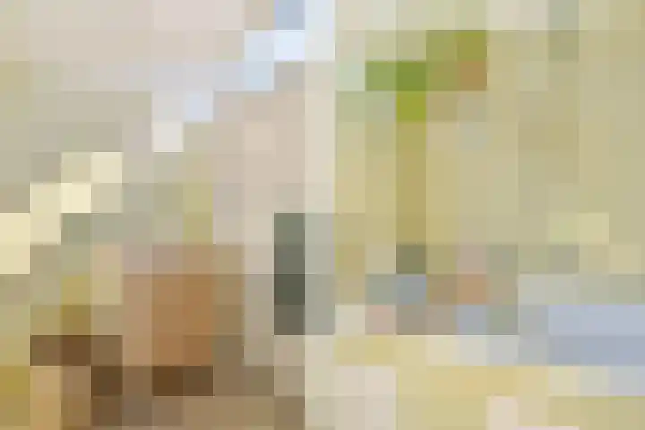 Vierde Buitenpepers 20 's-Hertogenbosch thumbnail 25