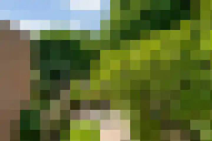 Vierde Buitenpepers 20 's-Hertogenbosch thumbnail 26