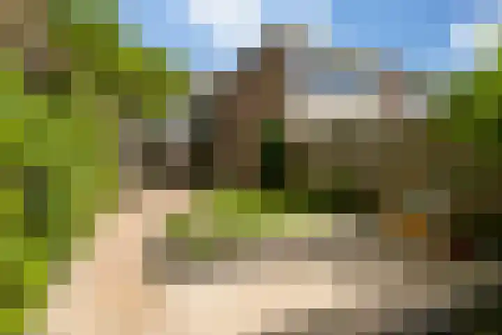Vierde Buitenpepers 20 's-Hertogenbosch thumbnail 27