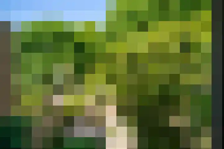 Vierde Buitenpepers 20 's-Hertogenbosch thumbnail 29