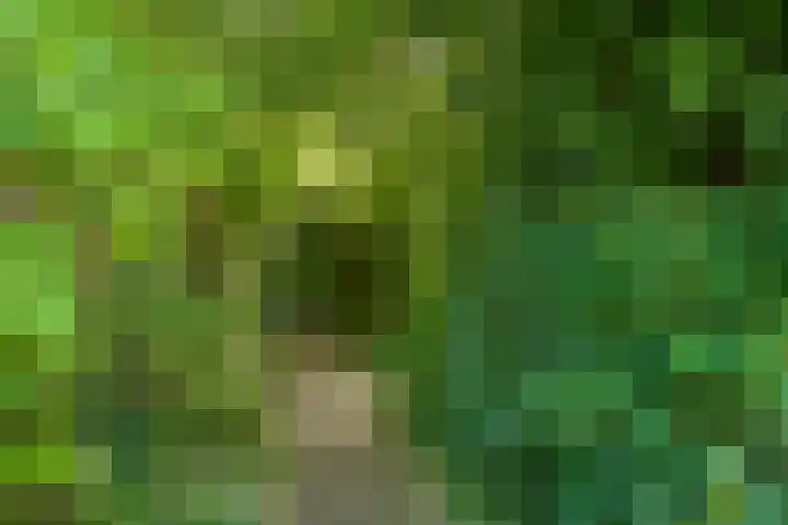 Vierde Buitenpepers 20 's-Hertogenbosch thumbnail 32