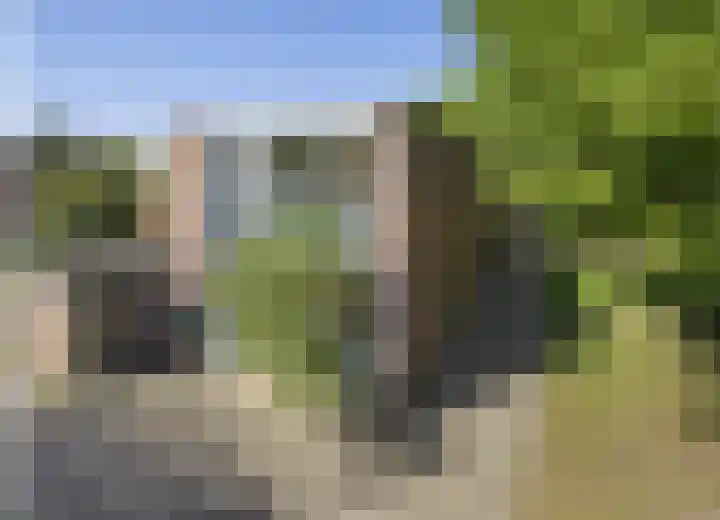 Vierde Buitenpepers 20 's-Hertogenbosch thumbnail 41