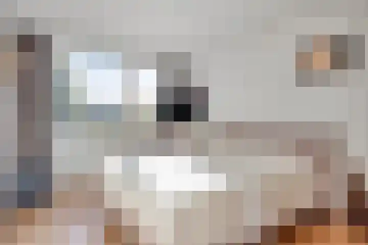 Vierde Buitenpepers 32 's-Hertogenbosch thumbnail 13