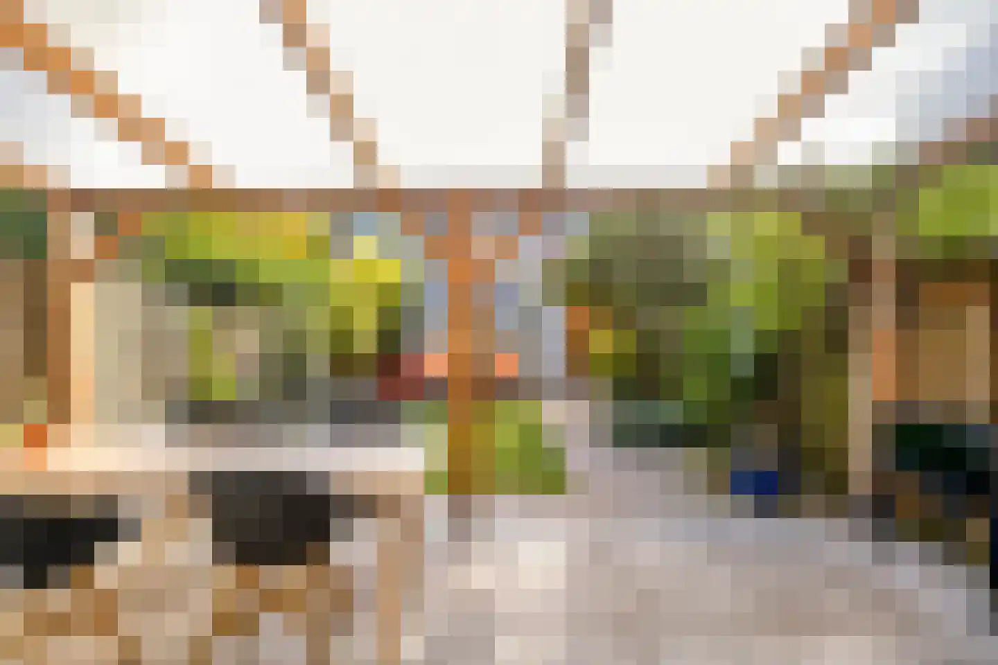 Vierde Buitenpepers 33 's-Hertogenbosch thumbnail 26