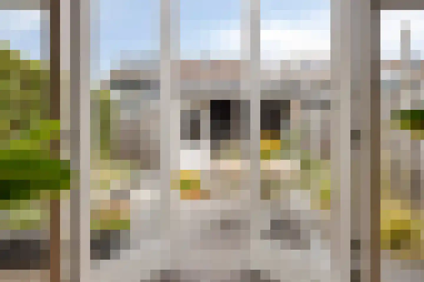 Vierde Hambaken 130 's-Hertogenbosch thumbnail 26