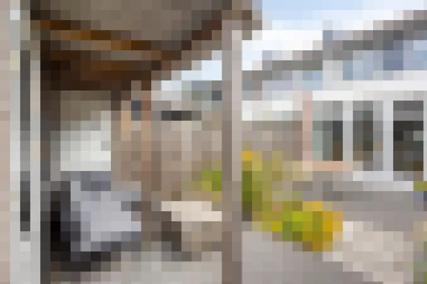 Vierde Hambaken 130 's-Hertogenbosch thumbnail 29