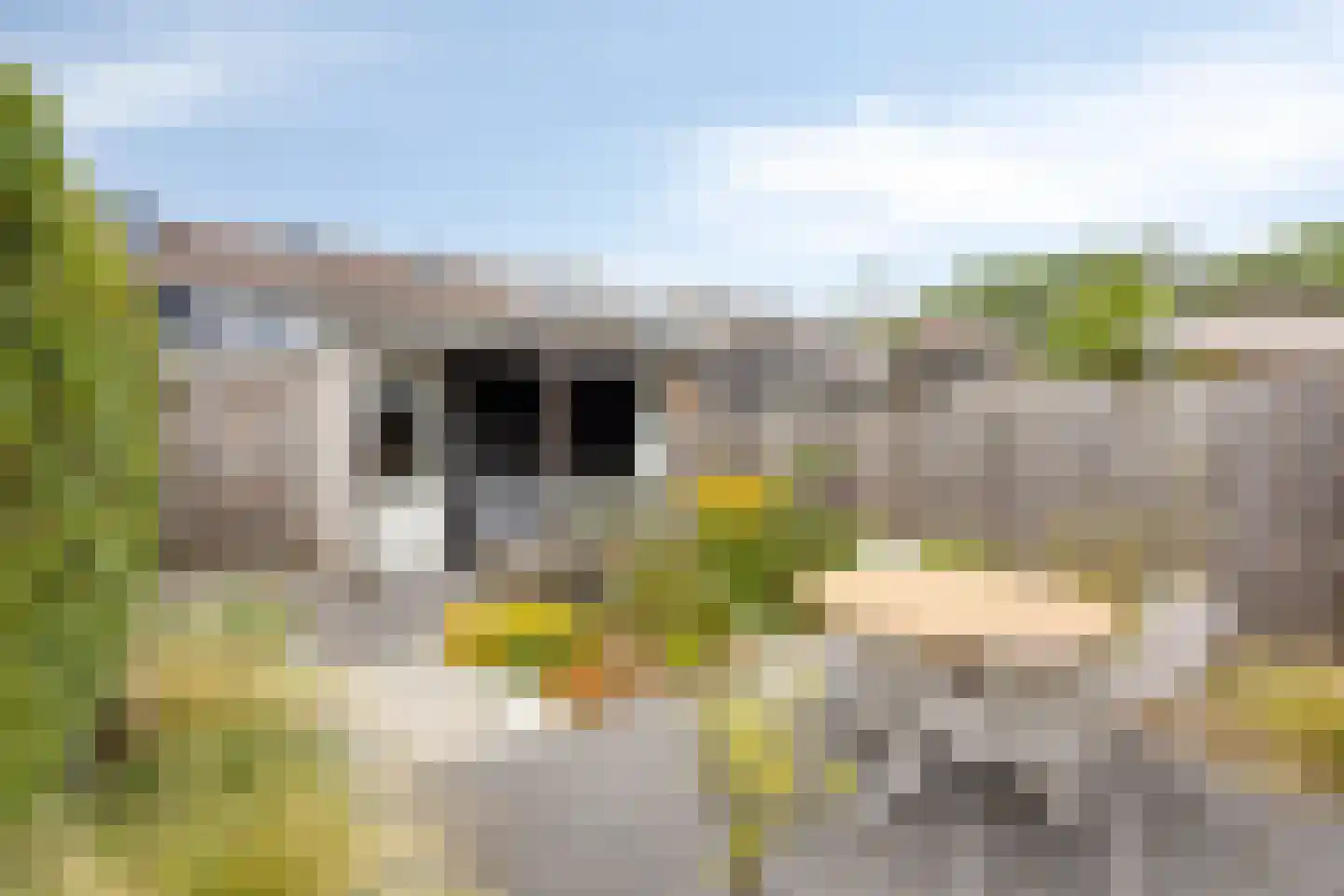 Vierde Hambaken 130 's-Hertogenbosch thumbnail 4