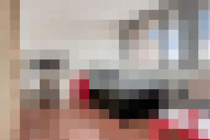 Vierde Hambaken 57 's-Hertogenbosch thumbnail 19