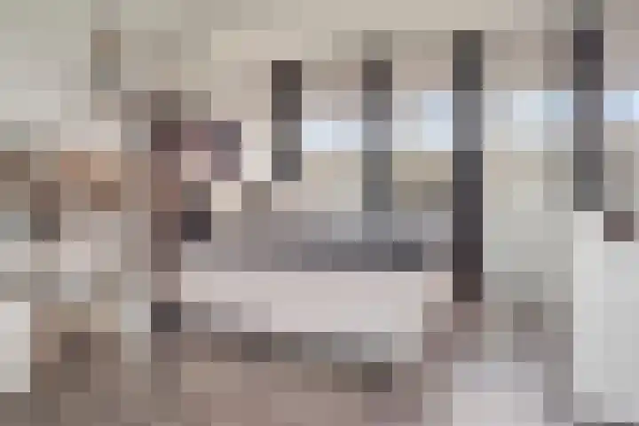 Vierde Hambaken 57 's-Hertogenbosch thumbnail 27