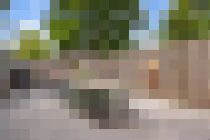 Vierde Hambaken 57 's-Hertogenbosch thumbnail 32