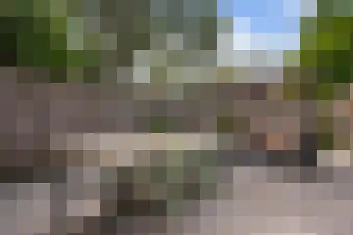 Vierde Hambaken 57 's-Hertogenbosch thumbnail 33