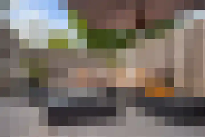 Vierde Hambaken 57 's-Hertogenbosch thumbnail 34