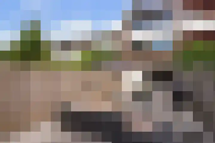 Vierde Hambaken 57 's-Hertogenbosch thumbnail 35