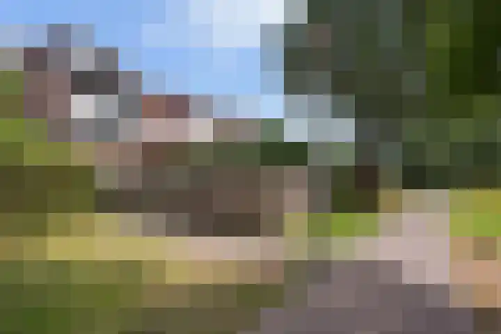 Vierde Hambaken 57 's-Hertogenbosch thumbnail 36