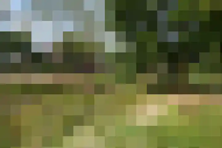 Vierde Hambaken 57 's-Hertogenbosch thumbnail 39