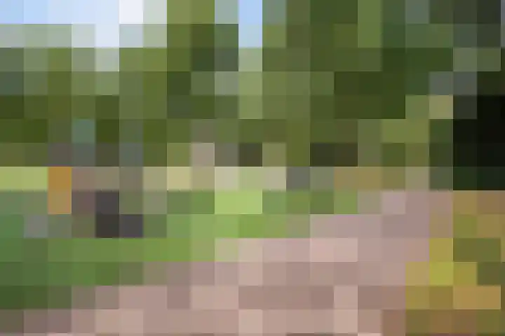Vierde Hambaken 57 's-Hertogenbosch thumbnail 40