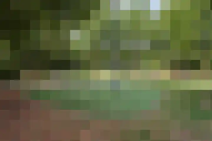 Vierde Hambaken 57 's-Hertogenbosch thumbnail 41