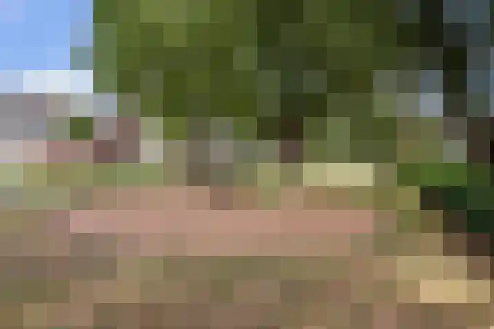 Vierde Hambaken 57 's-Hertogenbosch thumbnail 42