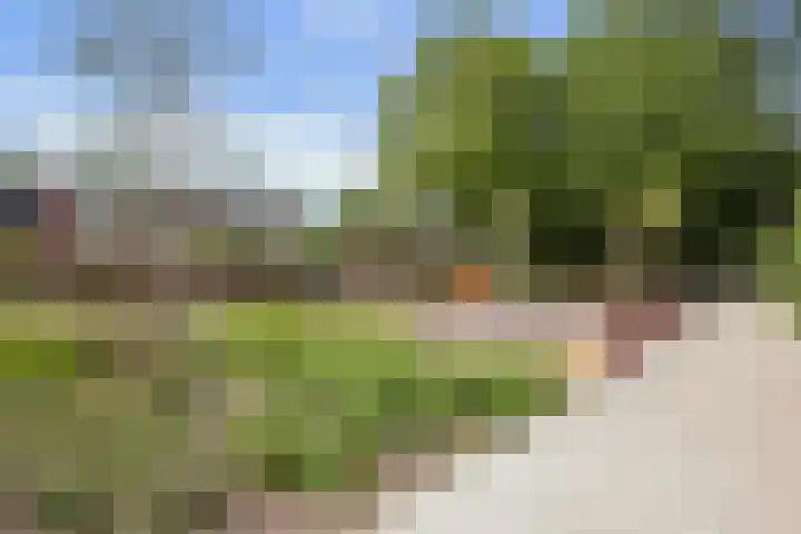 Vierde Hambaken 57 's-Hertogenbosch thumbnail 43