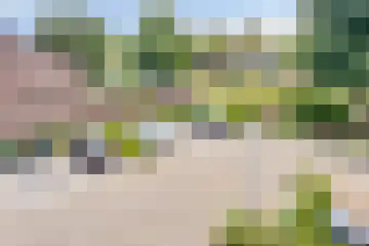 Vierde Hambaken 9 's-Hertogenbosch thumbnail 26