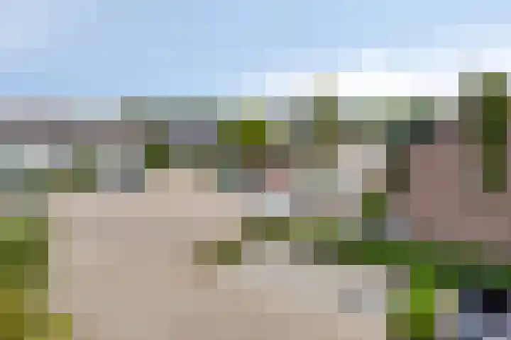 Vierde Hambaken 9 's-Hertogenbosch thumbnail 27