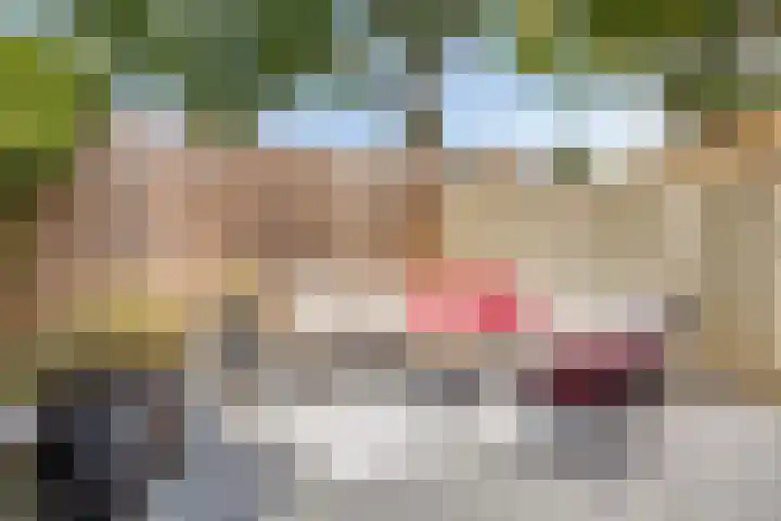 Vierde Hambaken 9 's-Hertogenbosch thumbnail 35