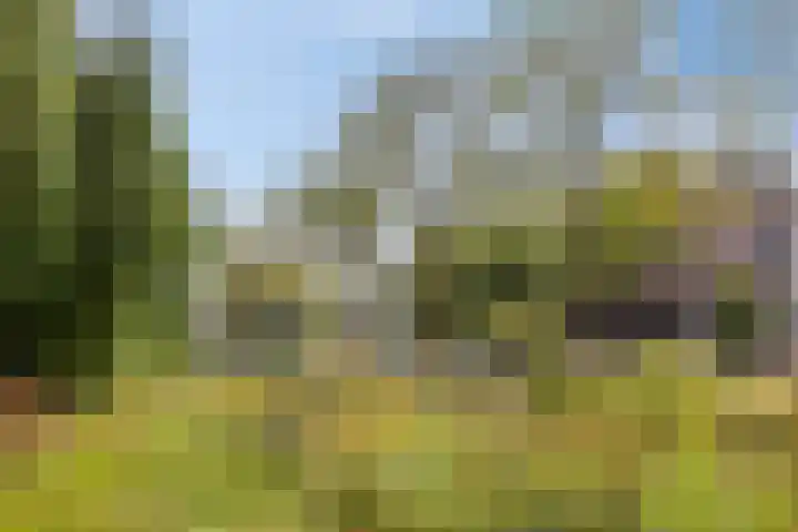 Vierde Hambaken 9 's-Hertogenbosch thumbnail 36