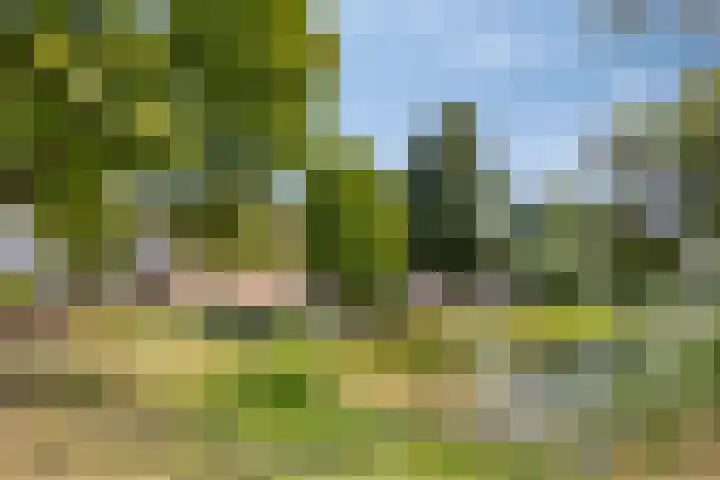 Vierde Hambaken 9 's-Hertogenbosch thumbnail 37