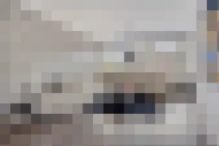 Vierde Hambaken 9 's-Hertogenbosch thumbnail 4