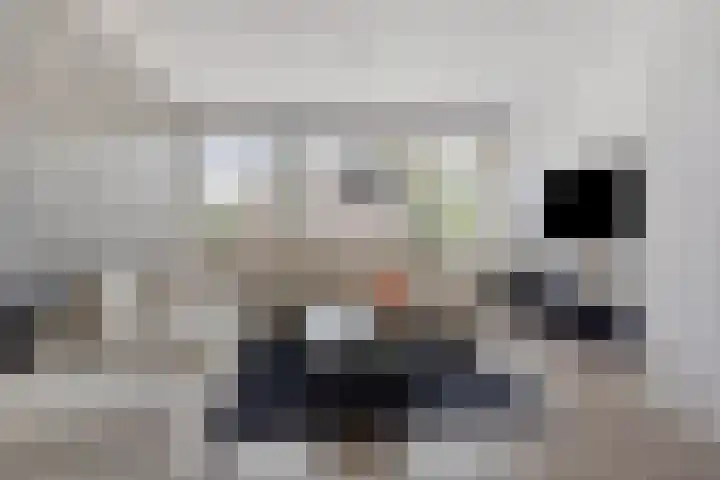 Vierde Hambaken 9 's-Hertogenbosch thumbnail 5