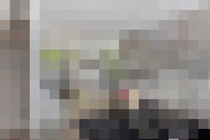 Vierde Hambaken 9 's-Hertogenbosch thumbnail 6