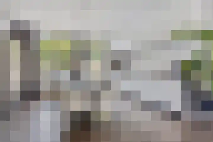 Vierde Hambaken 9 's-Hertogenbosch thumbnail 8