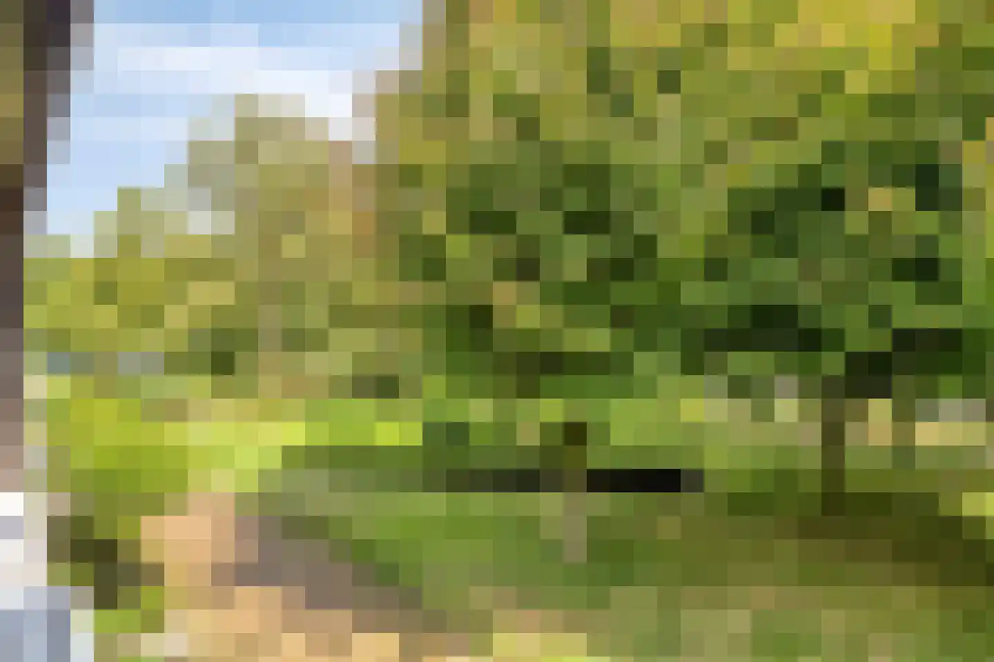 Vierde Morgen 18 's-Hertogenbosch thumbnail 21