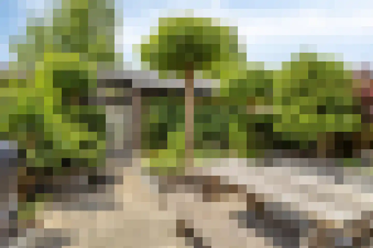 Vierde Morgen 18 's-Hertogenbosch thumbnail 28